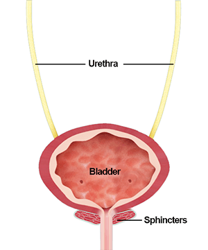 Urodynamics